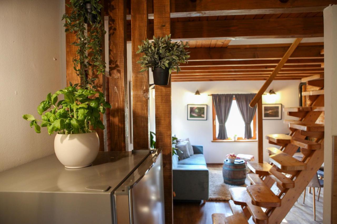 אוטוצאץ Woodenhouse With Two Apartments מראה חיצוני תמונה