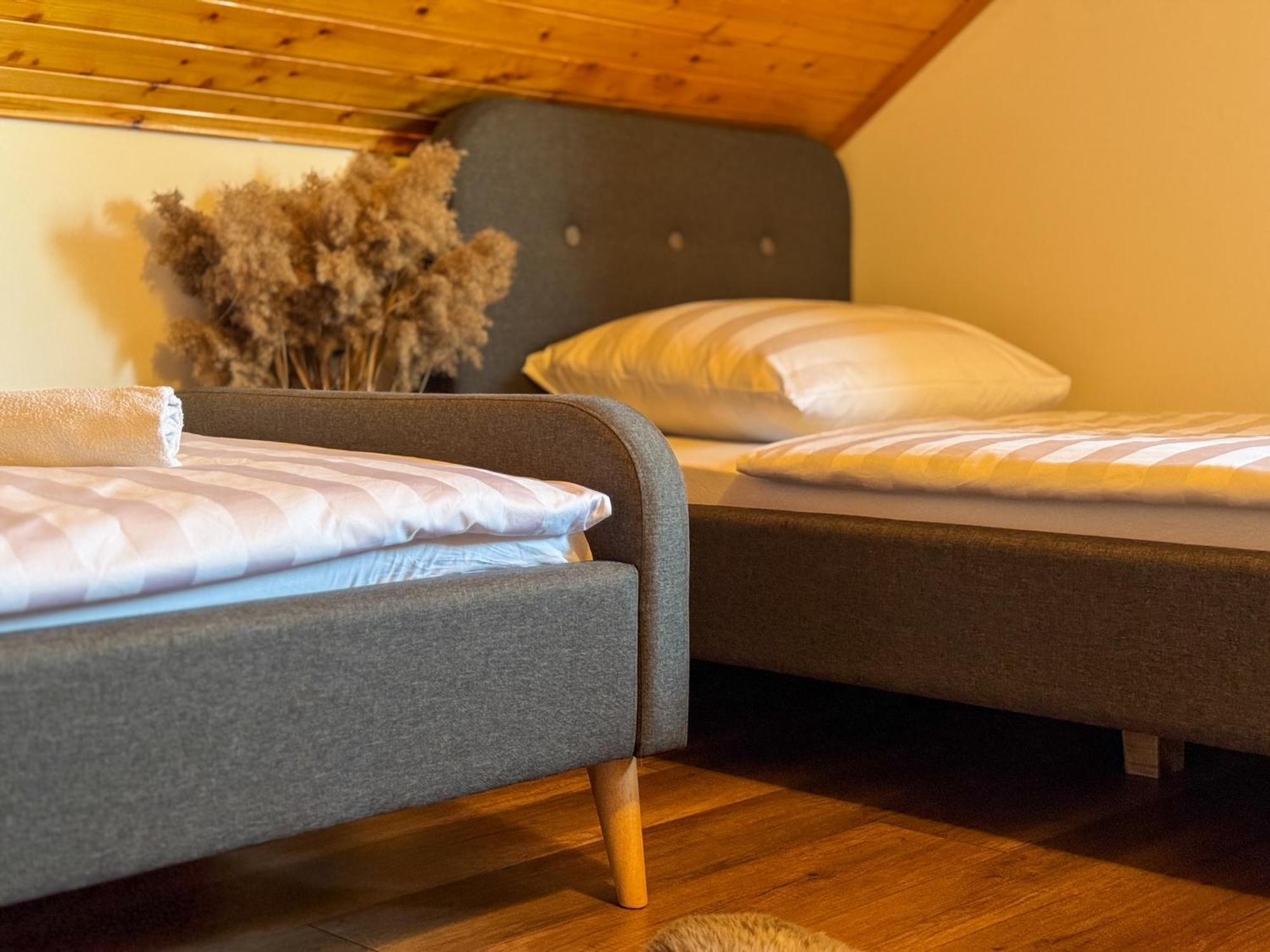 אוטוצאץ Woodenhouse With Two Apartments מראה חיצוני תמונה